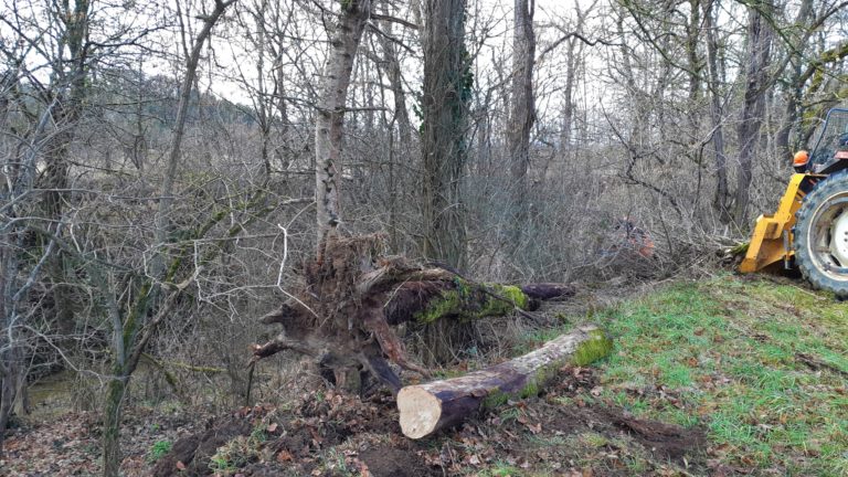 Les travaux d’entretien sur les cours d’eau ont débuté (Programme annuel 2022/2023)